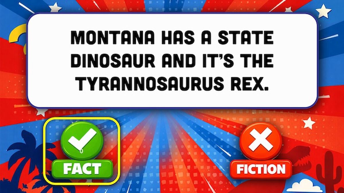 States: Fact or Fiction image number null